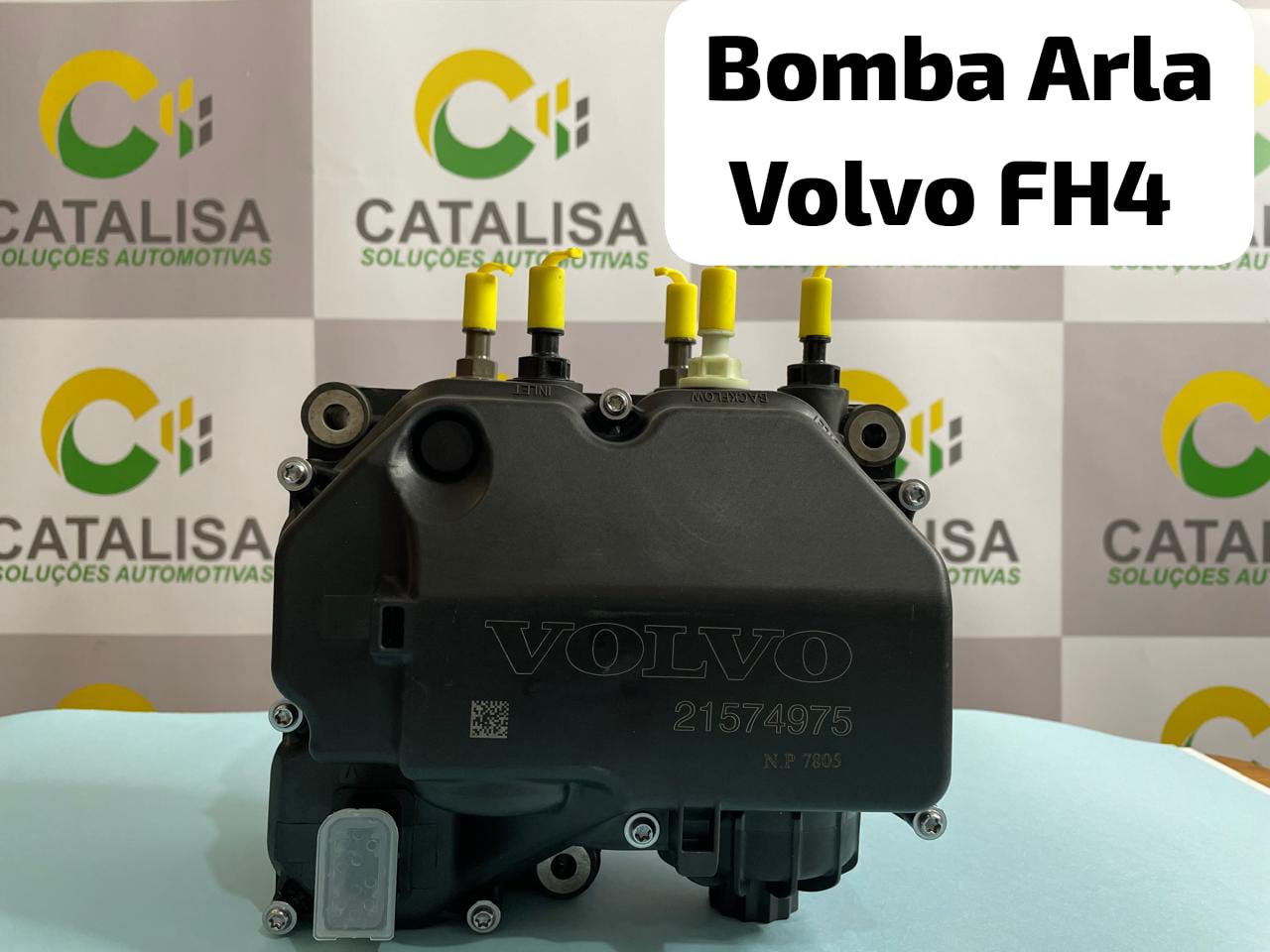 WhatsApp Image 2024-10-30 at 20.10.18.jpeg