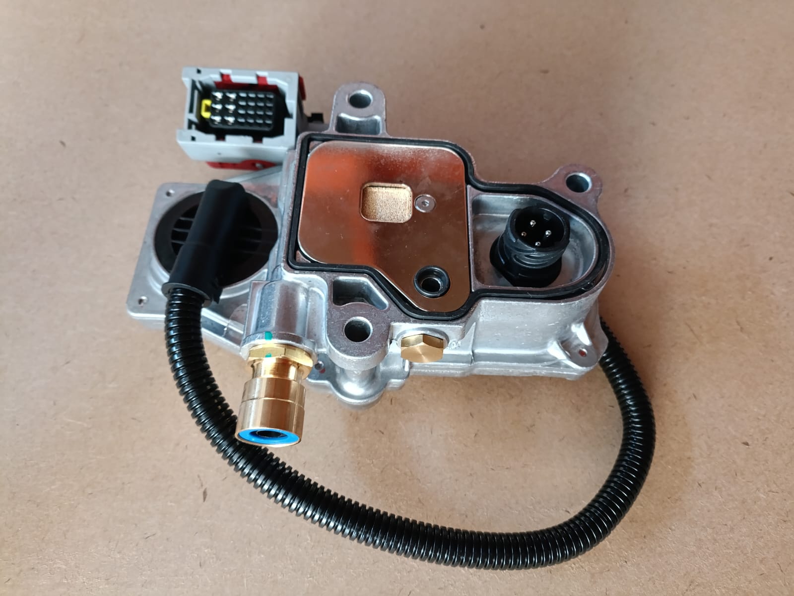 WhatsApp Image 2024-10-30 at 18.58.42 (1).jpeg