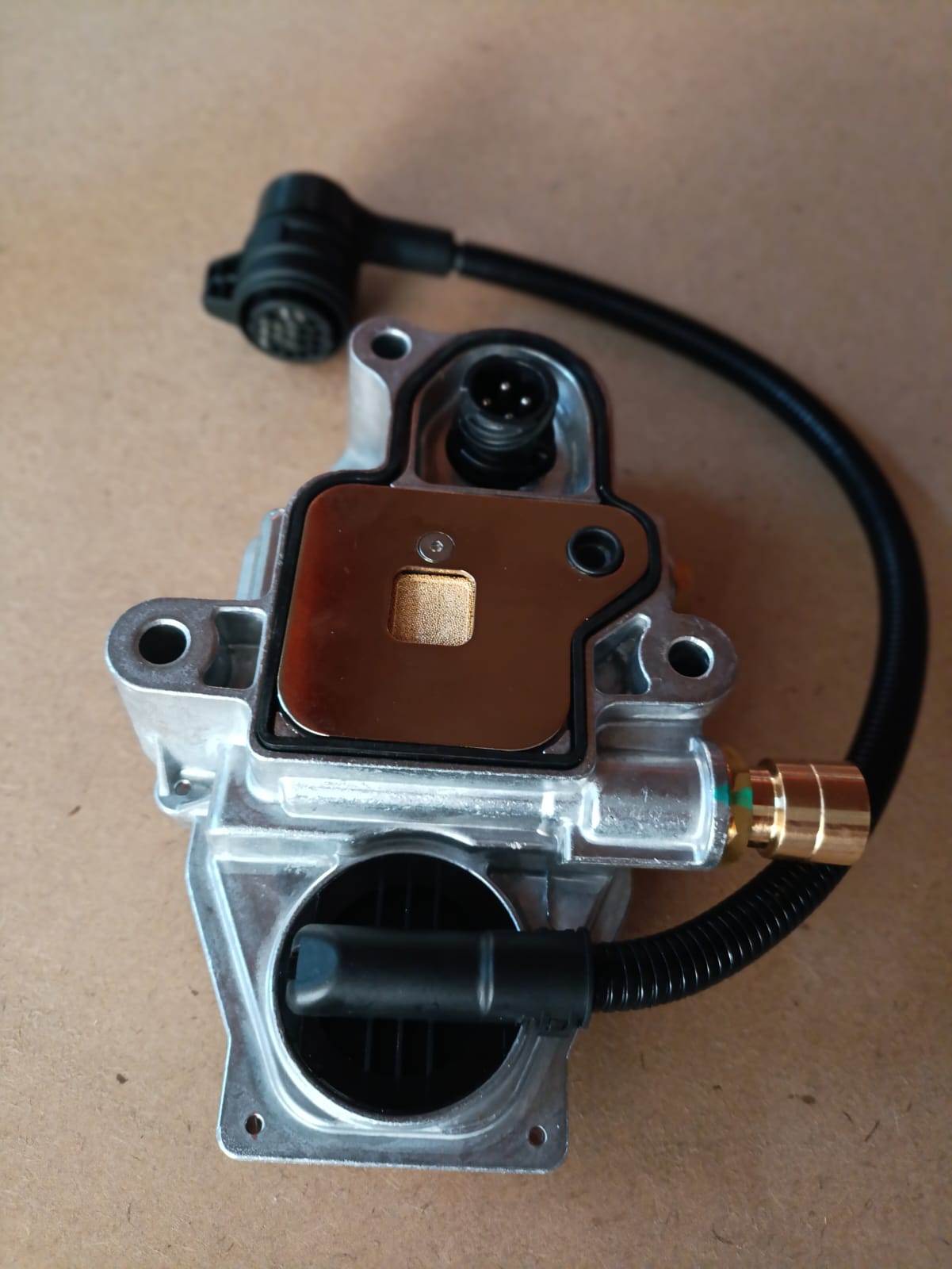 WhatsApp Image 2024-10-30 at 18.58.42 (2).jpeg