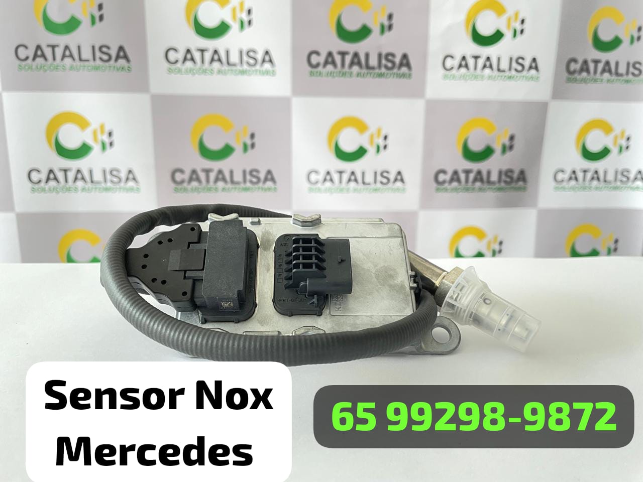 WhatsApp Image 2024-10-30 at 20.10.20.jpeg